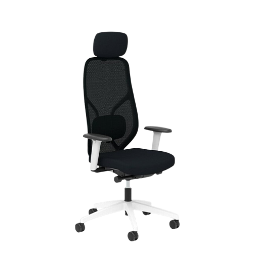 Ergotopia MasterBack