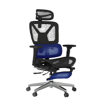 FLEXISPOT ErgoX