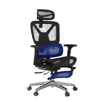 FLEXISPOT ErgoX